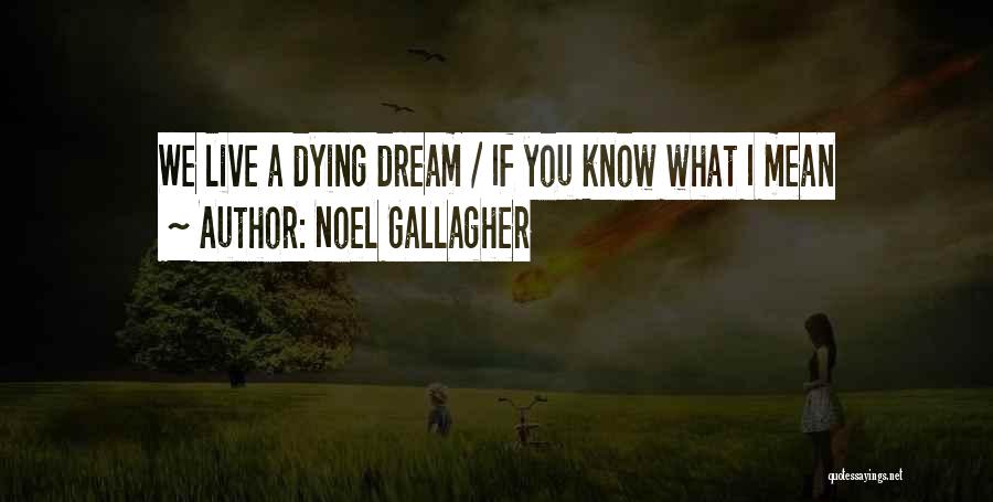 Noel Gallagher Quotes: We Live A Dying Dream / If You Know What I Mean