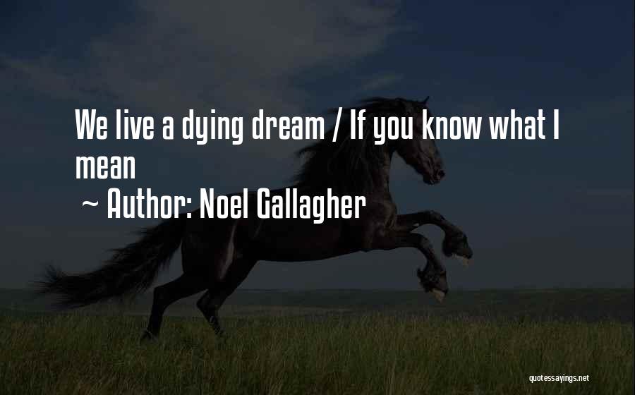 Noel Gallagher Quotes: We Live A Dying Dream / If You Know What I Mean