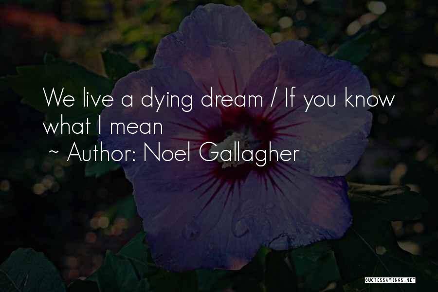 Noel Gallagher Quotes: We Live A Dying Dream / If You Know What I Mean