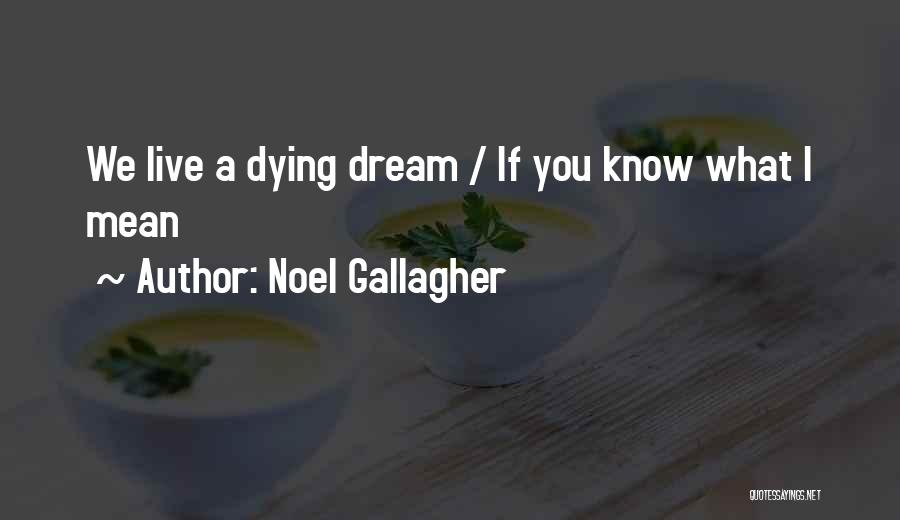 Noel Gallagher Quotes: We Live A Dying Dream / If You Know What I Mean