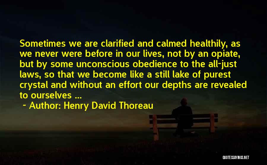 Henry David Thoreau Quotes: Sometimes We Are Clarified And Calmed Healthily, As We Never Were Before In Our Lives, Not By An Opiate, But