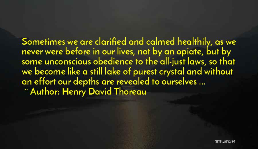 Henry David Thoreau Quotes: Sometimes We Are Clarified And Calmed Healthily, As We Never Were Before In Our Lives, Not By An Opiate, But