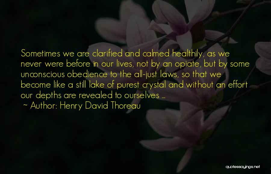 Henry David Thoreau Quotes: Sometimes We Are Clarified And Calmed Healthily, As We Never Were Before In Our Lives, Not By An Opiate, But