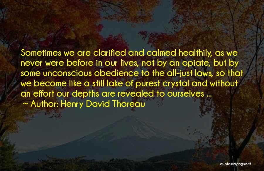 Henry David Thoreau Quotes: Sometimes We Are Clarified And Calmed Healthily, As We Never Were Before In Our Lives, Not By An Opiate, But