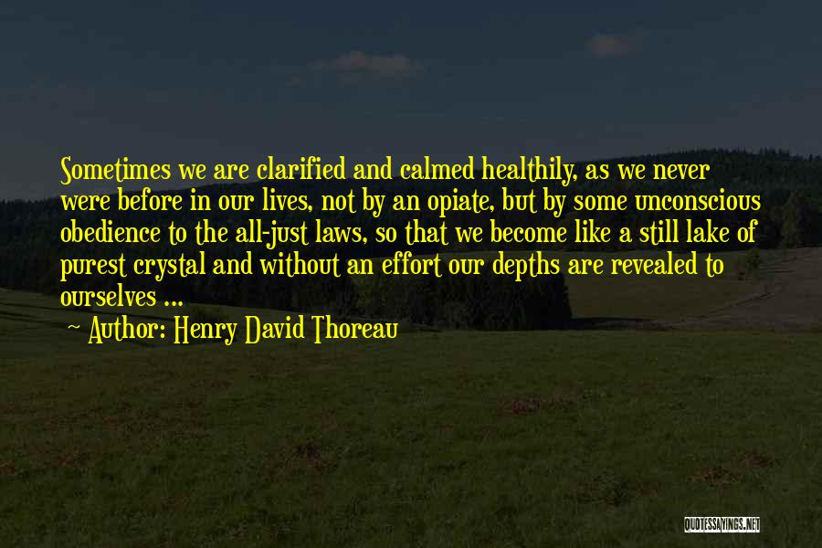 Henry David Thoreau Quotes: Sometimes We Are Clarified And Calmed Healthily, As We Never Were Before In Our Lives, Not By An Opiate, But