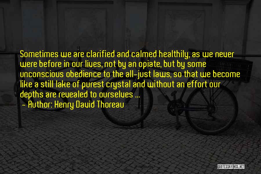 Henry David Thoreau Quotes: Sometimes We Are Clarified And Calmed Healthily, As We Never Were Before In Our Lives, Not By An Opiate, But