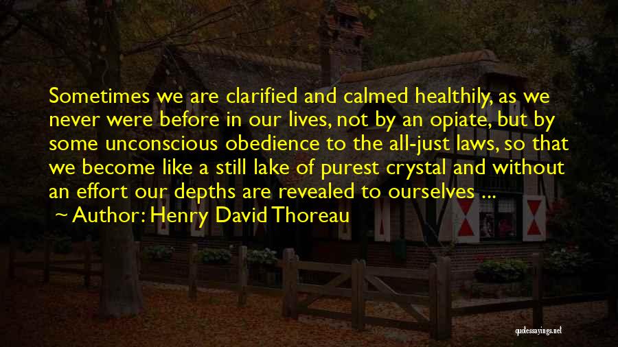 Henry David Thoreau Quotes: Sometimes We Are Clarified And Calmed Healthily, As We Never Were Before In Our Lives, Not By An Opiate, But