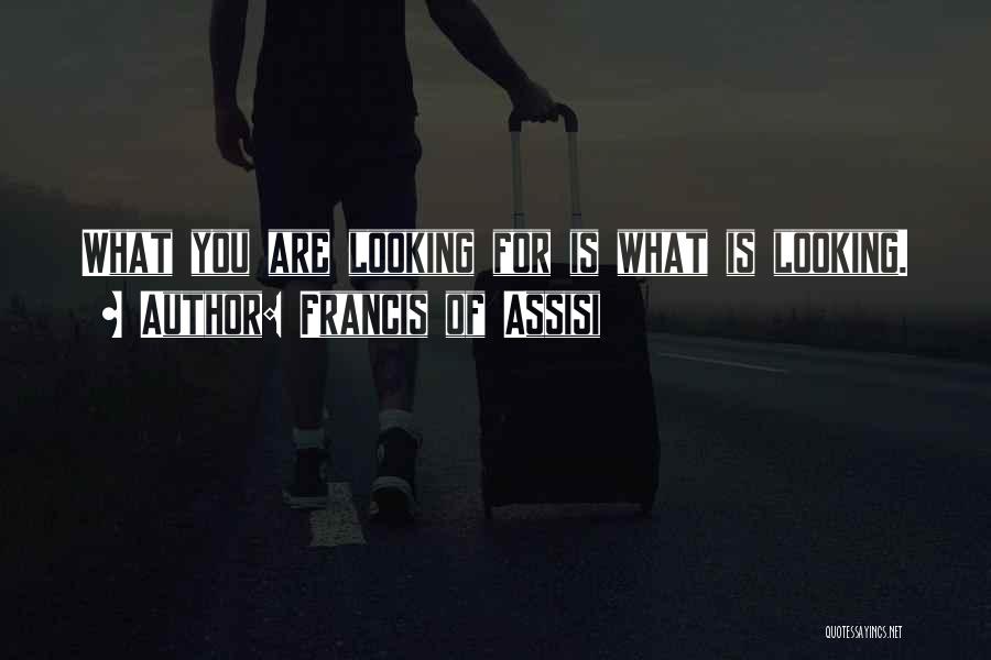 Francis Of Assisi Quotes: What You Are Looking For Is What Is Looking.