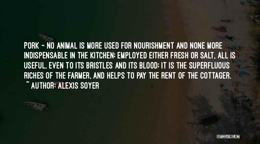 Alexis Soyer Quotes: Pork - No Animal Is More Used For Nourishment And None More Indispensable In The Kitchen; Employed Either Fresh Or