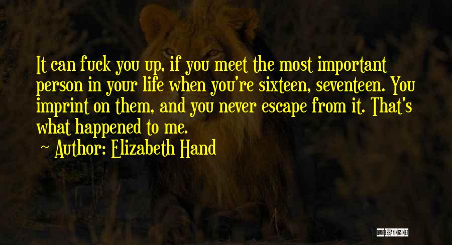 Elizabeth Hand Quotes: It Can Fuck You Up, If You Meet The Most Important Person In Your Life When You're Sixteen, Seventeen. You