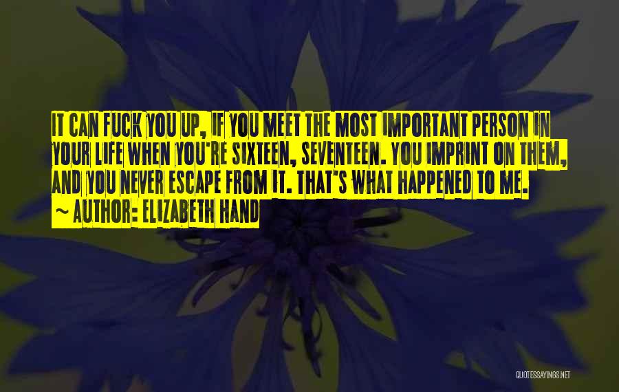 Elizabeth Hand Quotes: It Can Fuck You Up, If You Meet The Most Important Person In Your Life When You're Sixteen, Seventeen. You