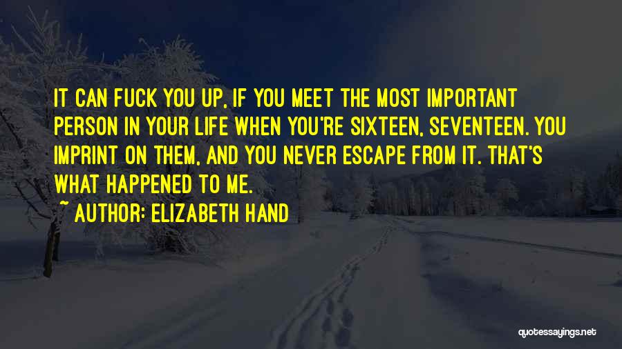 Elizabeth Hand Quotes: It Can Fuck You Up, If You Meet The Most Important Person In Your Life When You're Sixteen, Seventeen. You