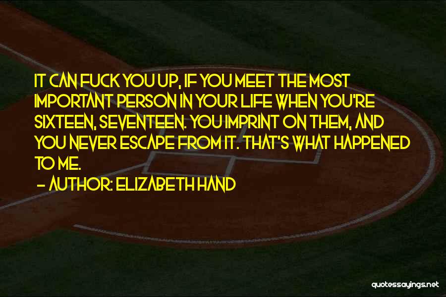 Elizabeth Hand Quotes: It Can Fuck You Up, If You Meet The Most Important Person In Your Life When You're Sixteen, Seventeen. You