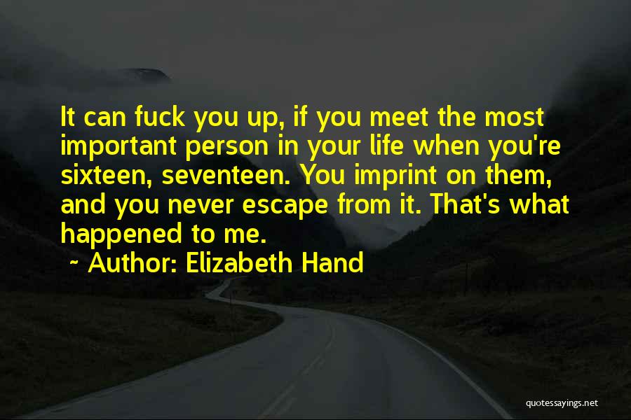 Elizabeth Hand Quotes: It Can Fuck You Up, If You Meet The Most Important Person In Your Life When You're Sixteen, Seventeen. You