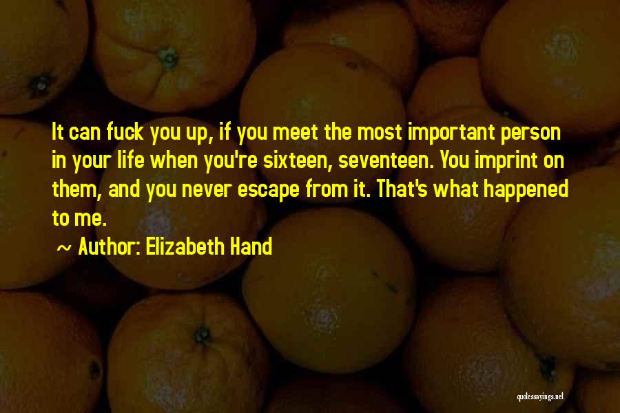 Elizabeth Hand Quotes: It Can Fuck You Up, If You Meet The Most Important Person In Your Life When You're Sixteen, Seventeen. You