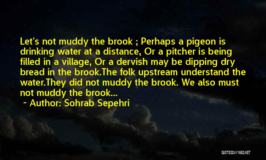 Sohrab Sepehri Quotes: Let's Not Muddy The Brook ; Perhaps A Pigeon Is Drinking Water At A Distance, Or A Pitcher Is Being