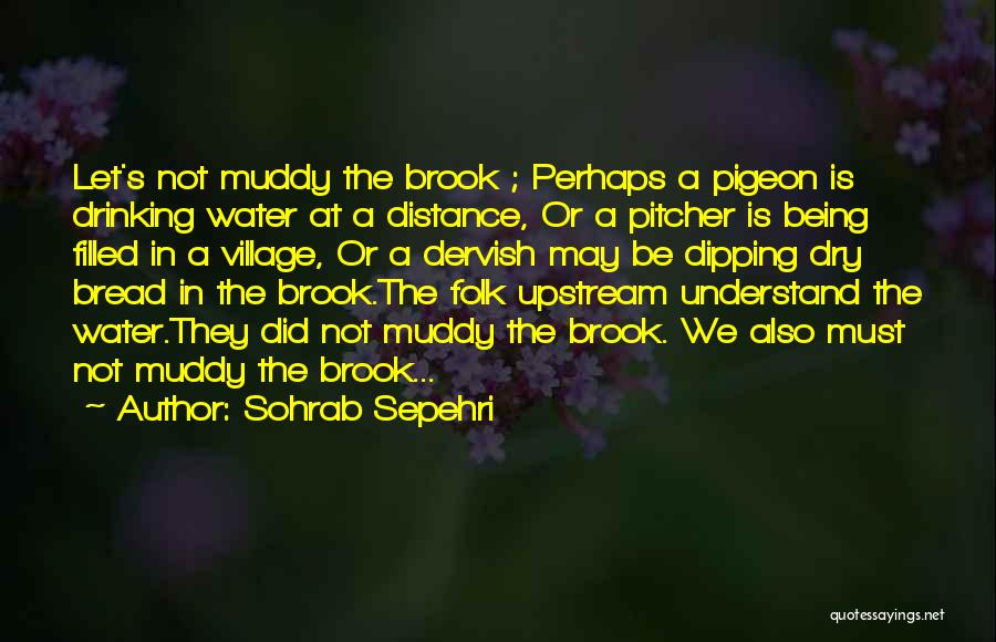 Sohrab Sepehri Quotes: Let's Not Muddy The Brook ; Perhaps A Pigeon Is Drinking Water At A Distance, Or A Pitcher Is Being