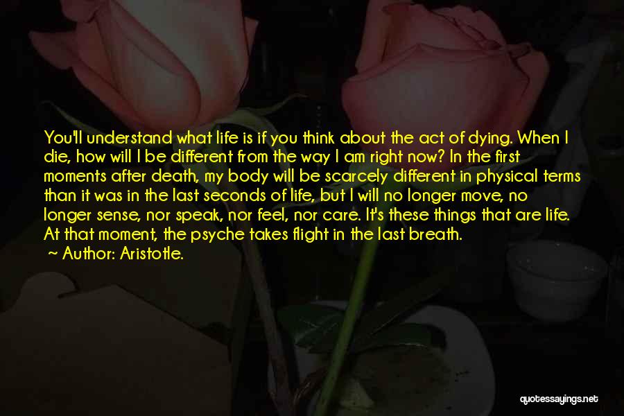 Aristotle. Quotes: You'll Understand What Life Is If You Think About The Act Of Dying. When I Die, How Will I Be