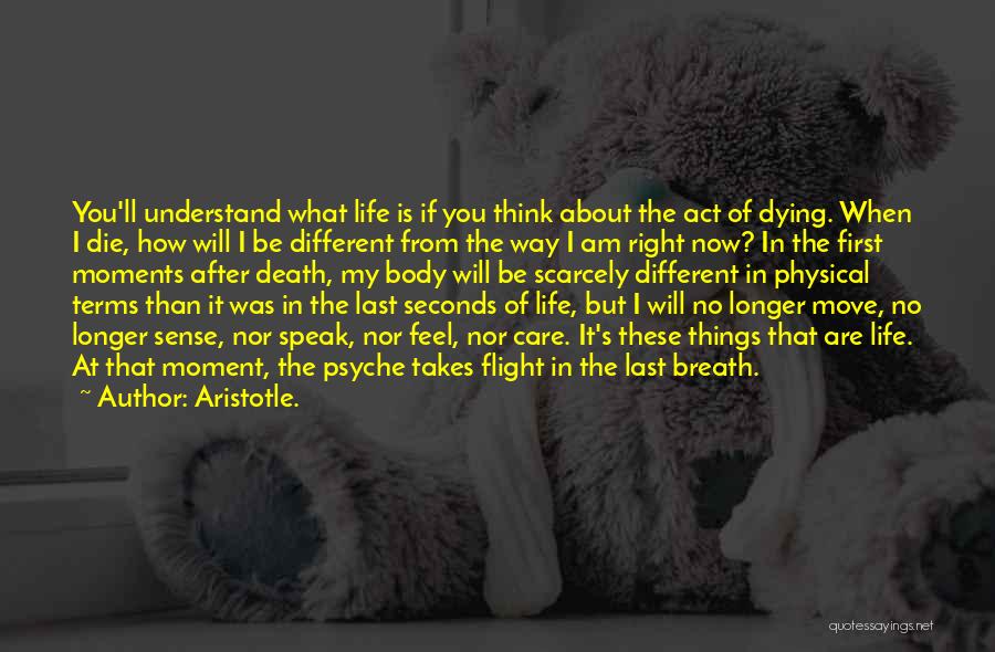 Aristotle. Quotes: You'll Understand What Life Is If You Think About The Act Of Dying. When I Die, How Will I Be