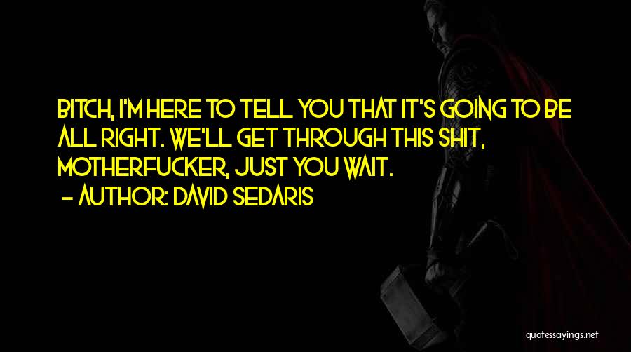 David Sedaris Quotes: Bitch, I'm Here To Tell You That It's Going To Be All Right. We'll Get Through This Shit, Motherfucker, Just