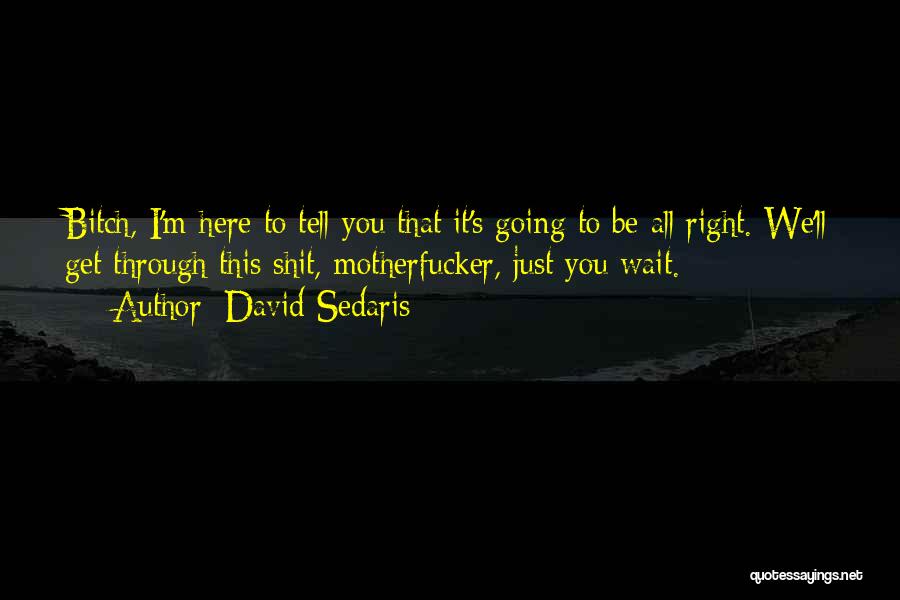 David Sedaris Quotes: Bitch, I'm Here To Tell You That It's Going To Be All Right. We'll Get Through This Shit, Motherfucker, Just