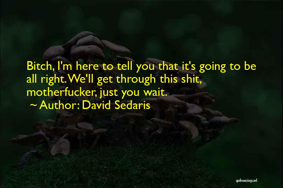 David Sedaris Quotes: Bitch, I'm Here To Tell You That It's Going To Be All Right. We'll Get Through This Shit, Motherfucker, Just