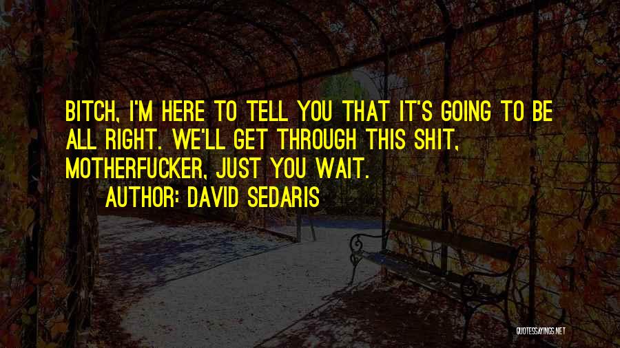 David Sedaris Quotes: Bitch, I'm Here To Tell You That It's Going To Be All Right. We'll Get Through This Shit, Motherfucker, Just
