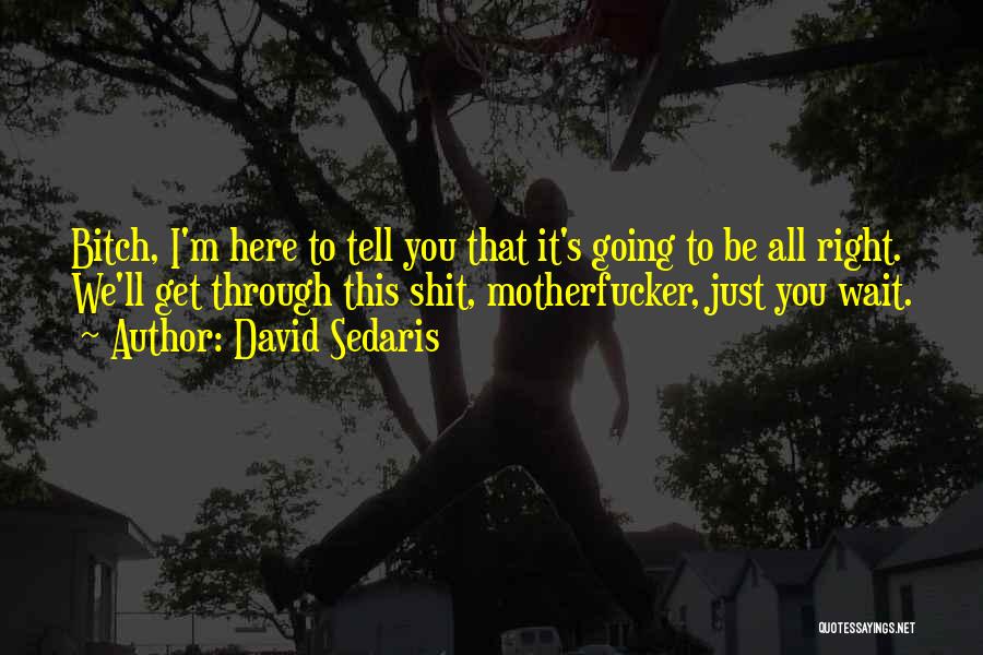 David Sedaris Quotes: Bitch, I'm Here To Tell You That It's Going To Be All Right. We'll Get Through This Shit, Motherfucker, Just