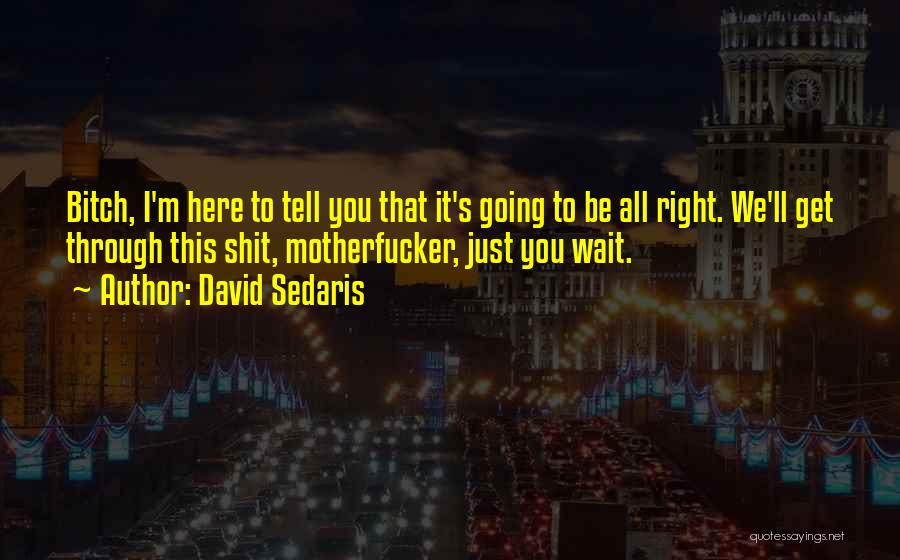 David Sedaris Quotes: Bitch, I'm Here To Tell You That It's Going To Be All Right. We'll Get Through This Shit, Motherfucker, Just