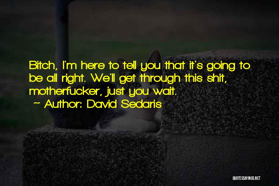 David Sedaris Quotes: Bitch, I'm Here To Tell You That It's Going To Be All Right. We'll Get Through This Shit, Motherfucker, Just
