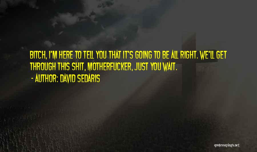 David Sedaris Quotes: Bitch, I'm Here To Tell You That It's Going To Be All Right. We'll Get Through This Shit, Motherfucker, Just