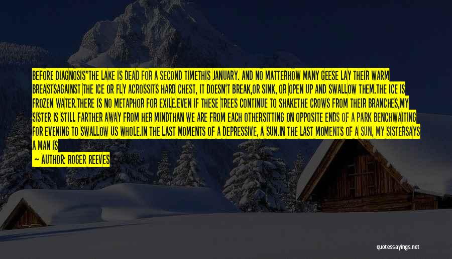 Roger Reeves Quotes: Before Diagnosisthe Lake Is Dead For A Second Timethis January. And No Matterhow Many Geese Lay Their Warm Breastsagainst The