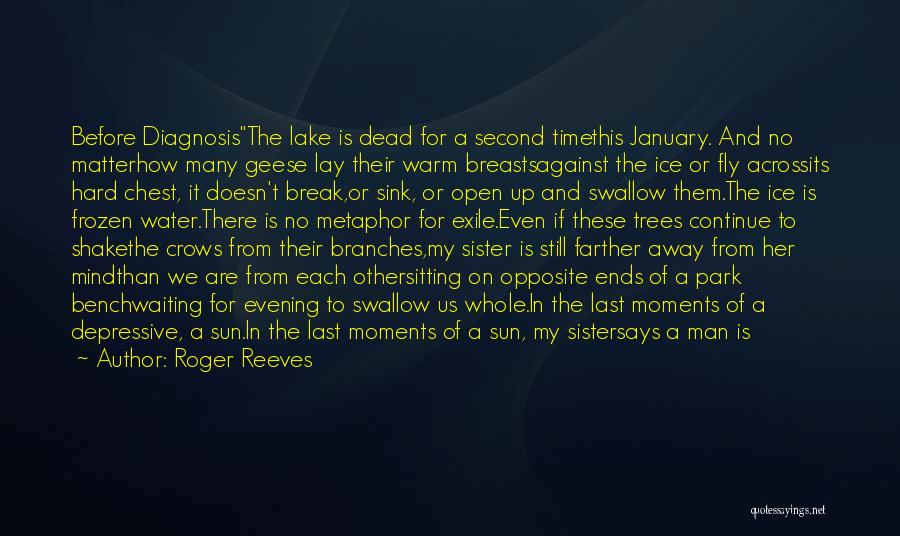 Roger Reeves Quotes: Before Diagnosisthe Lake Is Dead For A Second Timethis January. And No Matterhow Many Geese Lay Their Warm Breastsagainst The