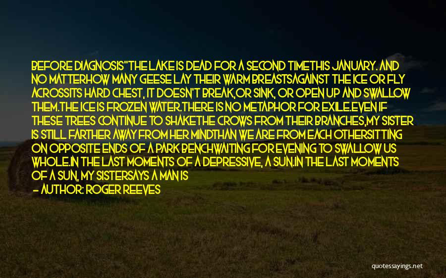 Roger Reeves Quotes: Before Diagnosisthe Lake Is Dead For A Second Timethis January. And No Matterhow Many Geese Lay Their Warm Breastsagainst The