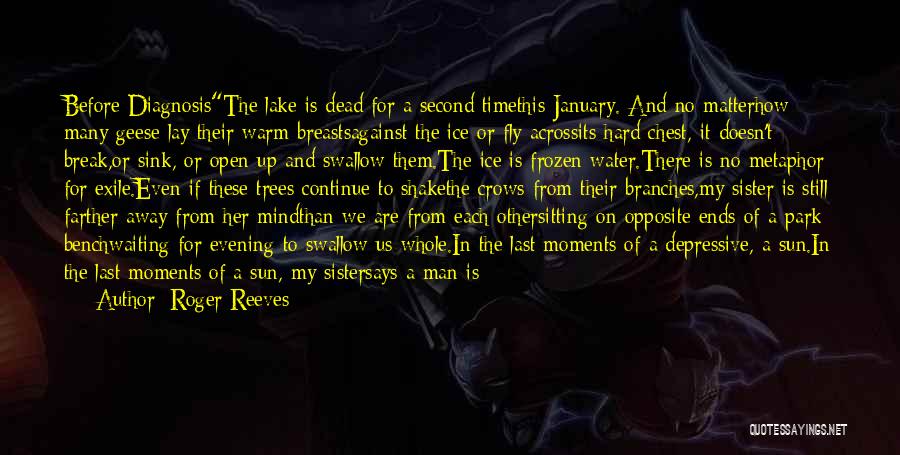 Roger Reeves Quotes: Before Diagnosisthe Lake Is Dead For A Second Timethis January. And No Matterhow Many Geese Lay Their Warm Breastsagainst The