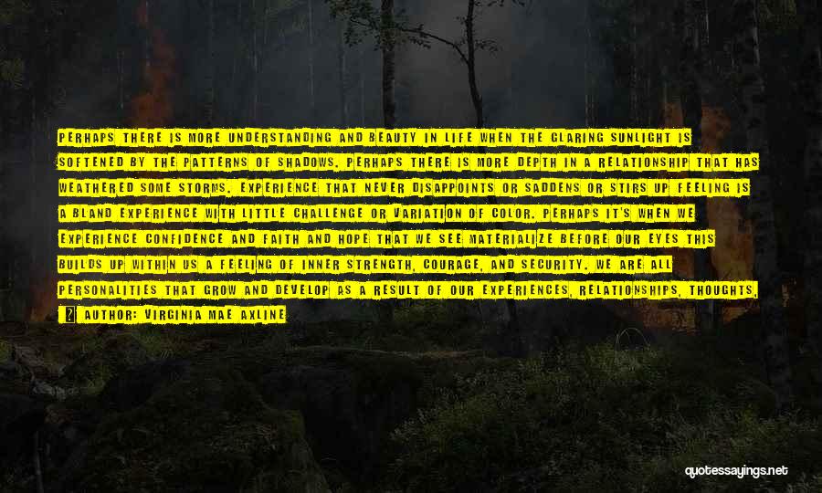 Virginia Mae Axline Quotes: Perhaps There Is More Understanding And Beauty In Life When The Glaring Sunlight Is Softened By The Patterns Of Shadows.