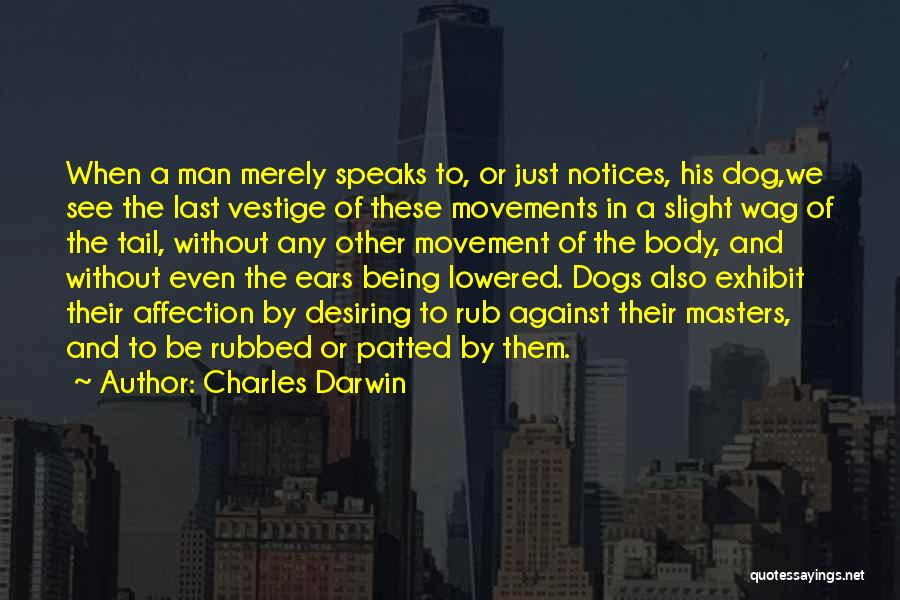 Charles Darwin Quotes: When A Man Merely Speaks To, Or Just Notices, His Dog,we See The Last Vestige Of These Movements In A