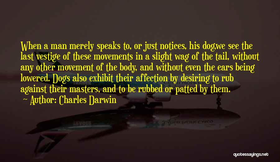 Charles Darwin Quotes: When A Man Merely Speaks To, Or Just Notices, His Dog,we See The Last Vestige Of These Movements In A