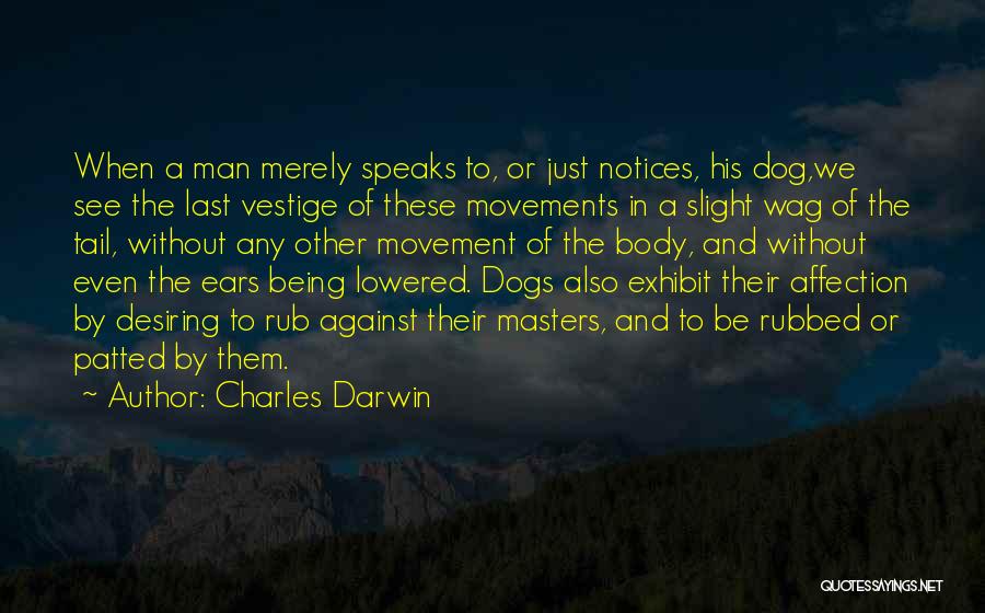 Charles Darwin Quotes: When A Man Merely Speaks To, Or Just Notices, His Dog,we See The Last Vestige Of These Movements In A