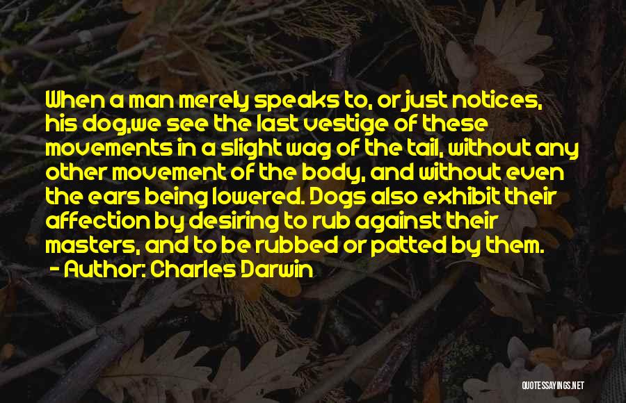 Charles Darwin Quotes: When A Man Merely Speaks To, Or Just Notices, His Dog,we See The Last Vestige Of These Movements In A