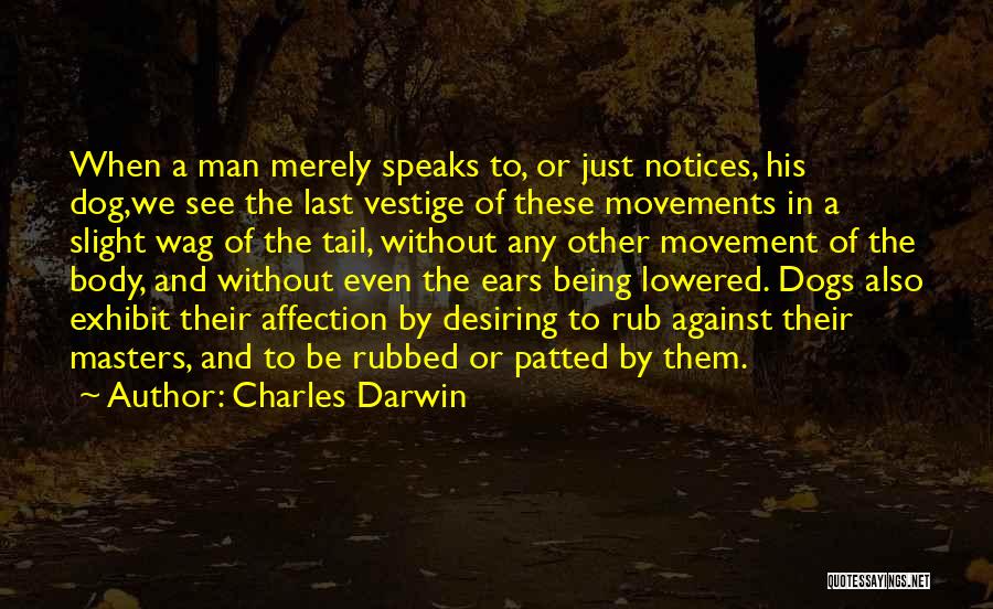 Charles Darwin Quotes: When A Man Merely Speaks To, Or Just Notices, His Dog,we See The Last Vestige Of These Movements In A