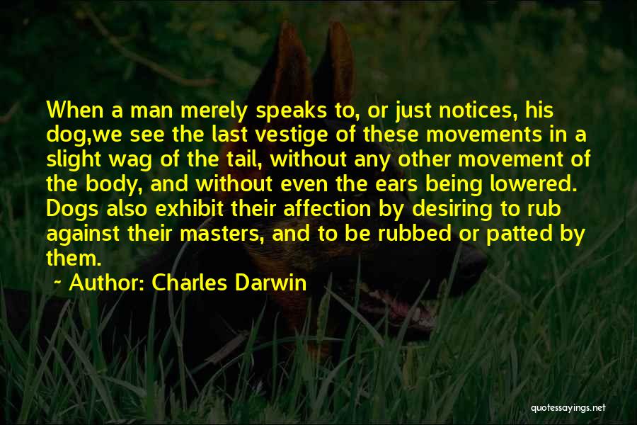 Charles Darwin Quotes: When A Man Merely Speaks To, Or Just Notices, His Dog,we See The Last Vestige Of These Movements In A