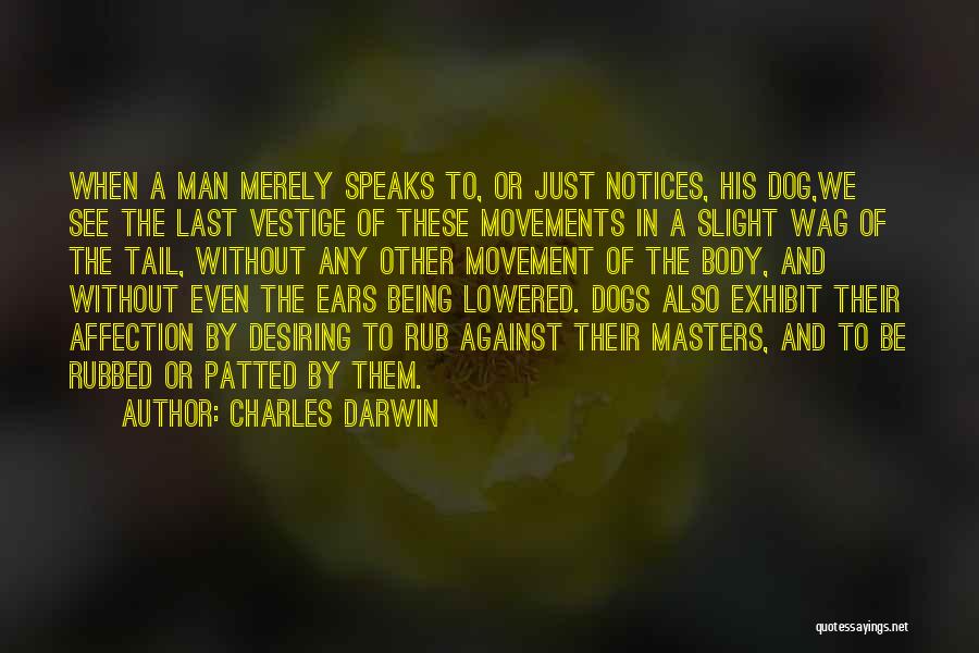 Charles Darwin Quotes: When A Man Merely Speaks To, Or Just Notices, His Dog,we See The Last Vestige Of These Movements In A