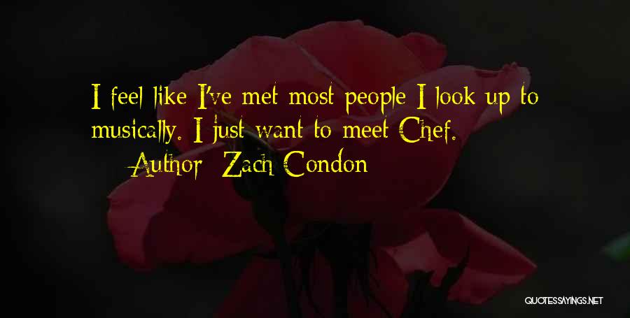 Zach Condon Quotes: I Feel Like I've Met Most People I Look Up To Musically. I Just Want To Meet Chef.