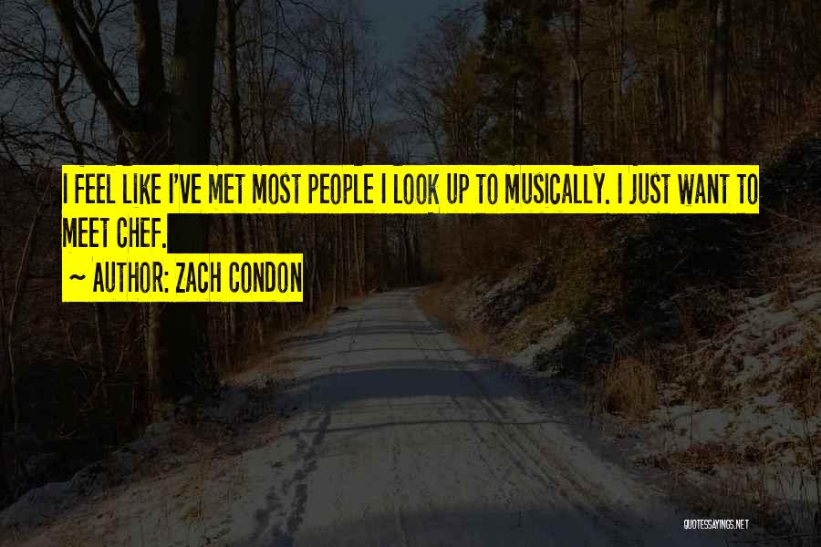 Zach Condon Quotes: I Feel Like I've Met Most People I Look Up To Musically. I Just Want To Meet Chef.