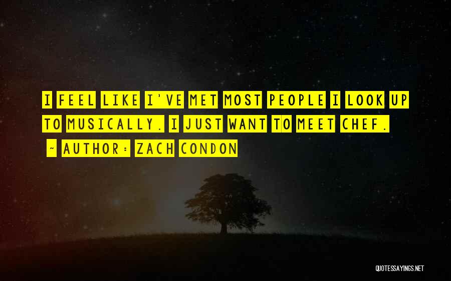 Zach Condon Quotes: I Feel Like I've Met Most People I Look Up To Musically. I Just Want To Meet Chef.