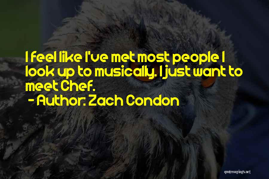 Zach Condon Quotes: I Feel Like I've Met Most People I Look Up To Musically. I Just Want To Meet Chef.