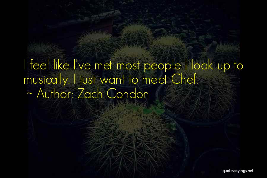 Zach Condon Quotes: I Feel Like I've Met Most People I Look Up To Musically. I Just Want To Meet Chef.