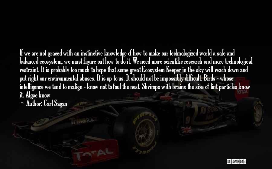 Carl Sagan Quotes: If We Are Not Graced With An Instinctive Knowledge Of How To Make Our Technologized World A Safe And Balanced