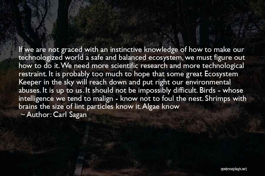 Carl Sagan Quotes: If We Are Not Graced With An Instinctive Knowledge Of How To Make Our Technologized World A Safe And Balanced